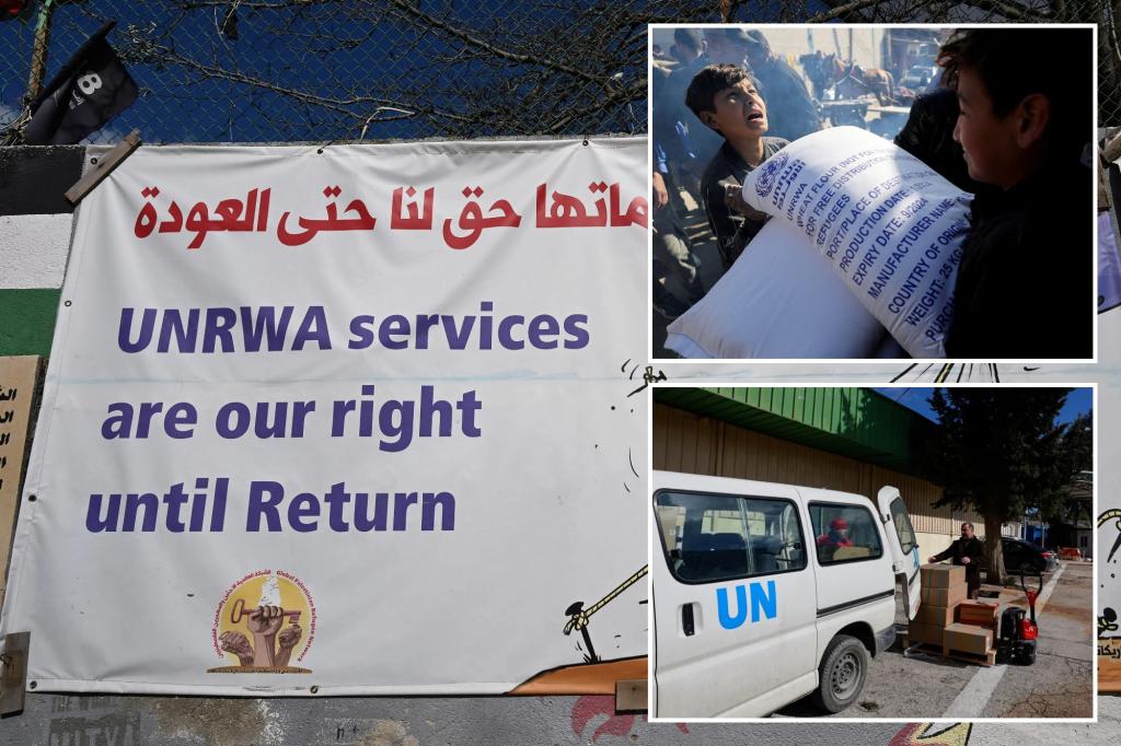 The 74 year relationship between the UNRWA and Palestinian refugees