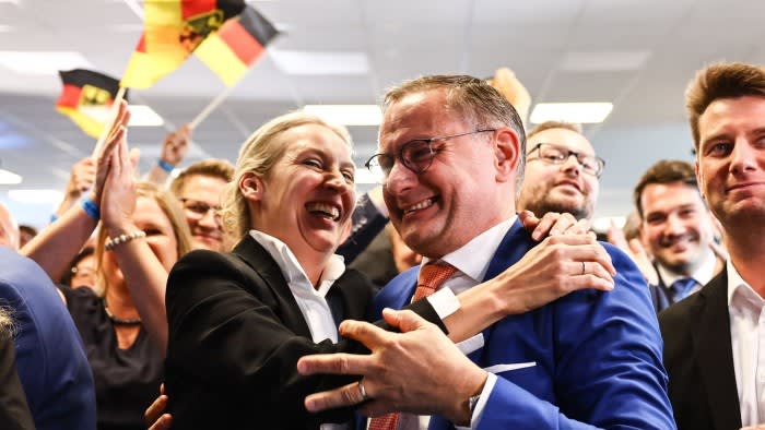 Far right makes significant gains in European parliament elections